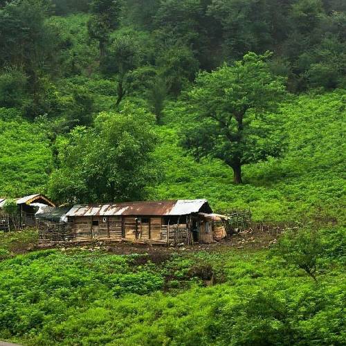 اسماعیل نصرالهی ای قاصده واوره میری دورت بگردم